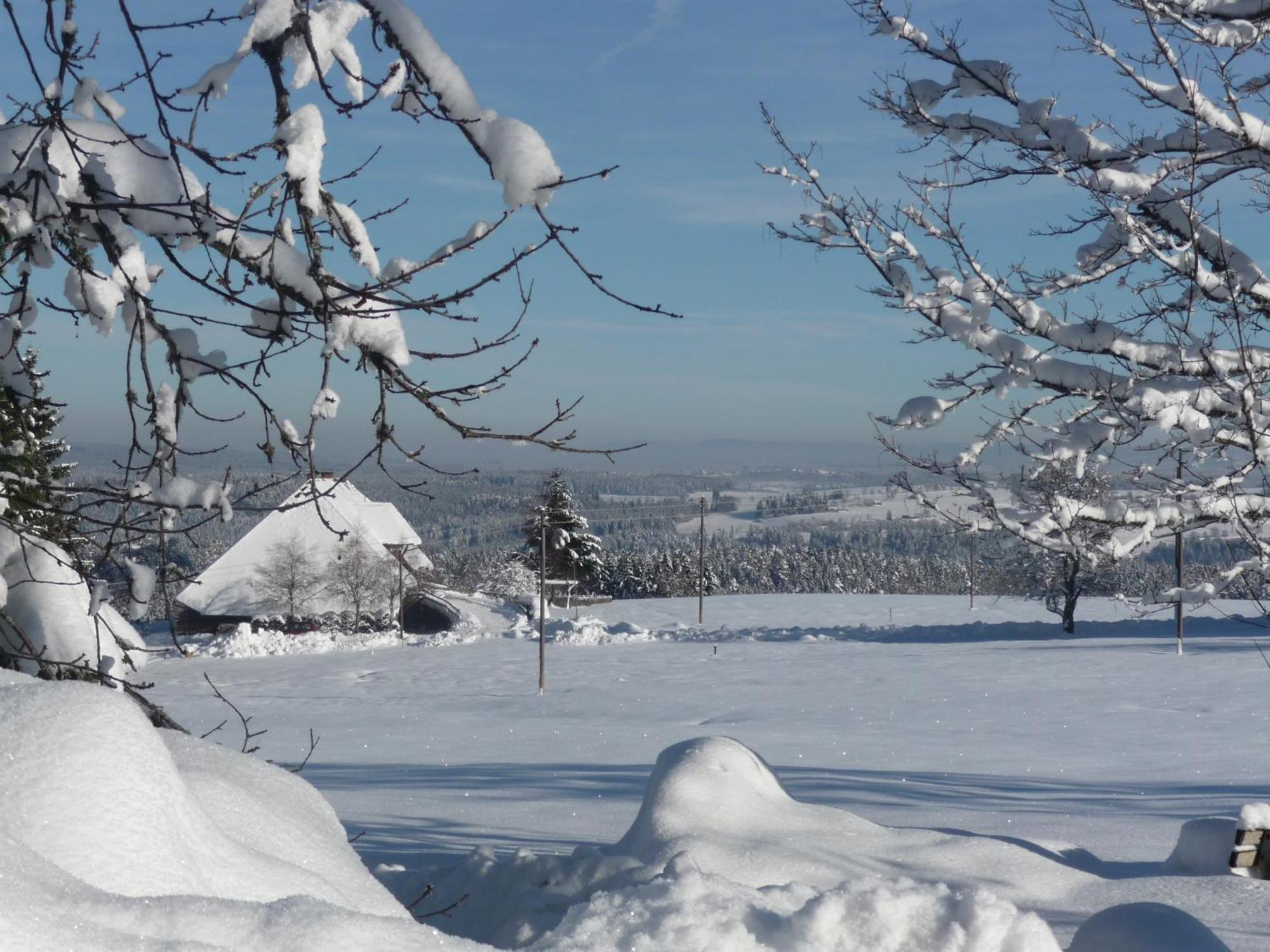 Hoehenpension Glashuette Bed&Breakfast Fruehstueckspension Hotel Garni Bonndorf im Schwarzwald Exterior photo