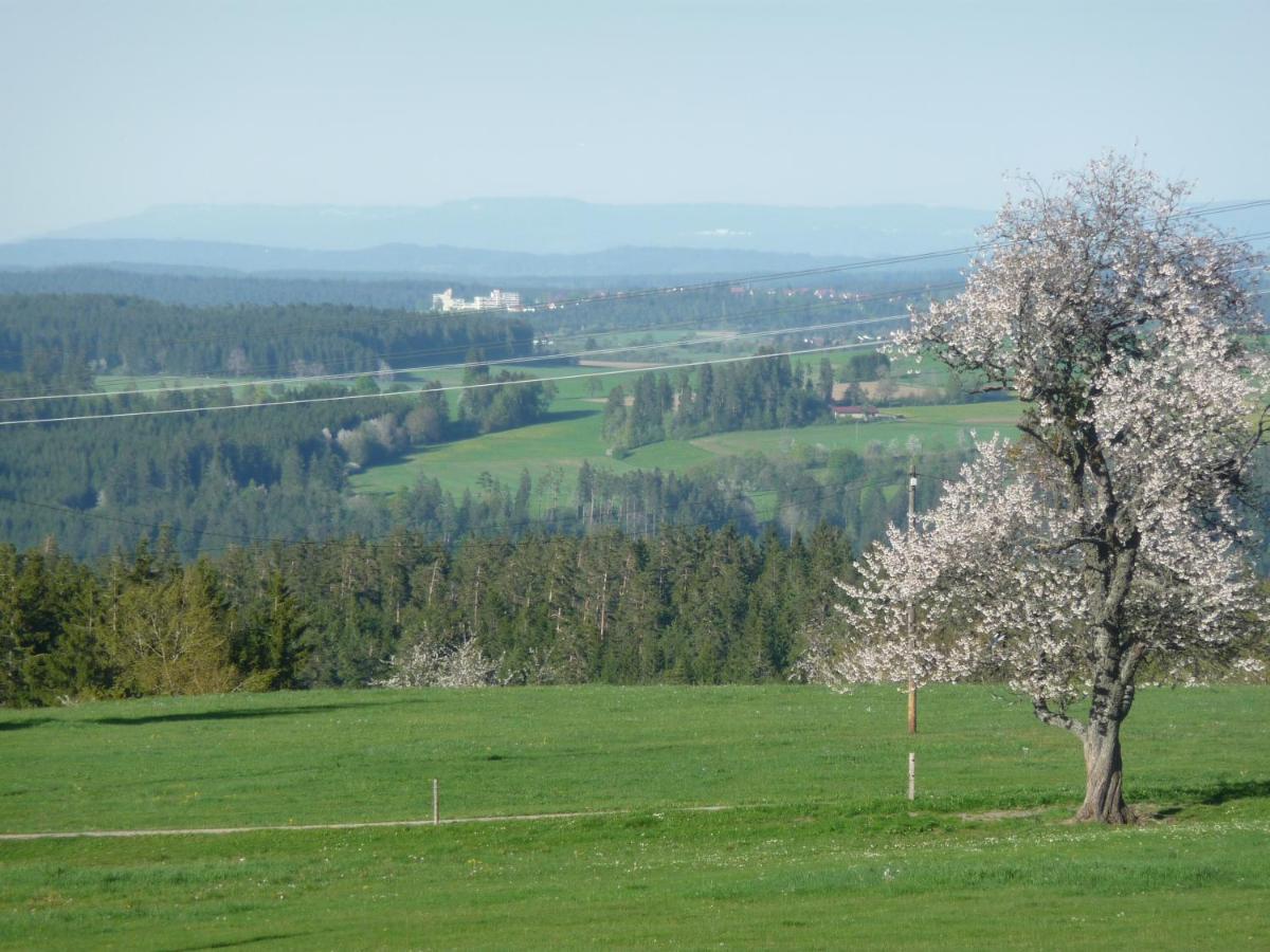 Hoehenpension Glashuette Bed&Breakfast Fruehstueckspension Hotel Garni Bonndorf im Schwarzwald Exterior photo